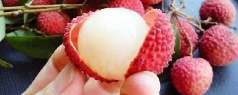剥怎么读（毕毕剥剥怎么读）