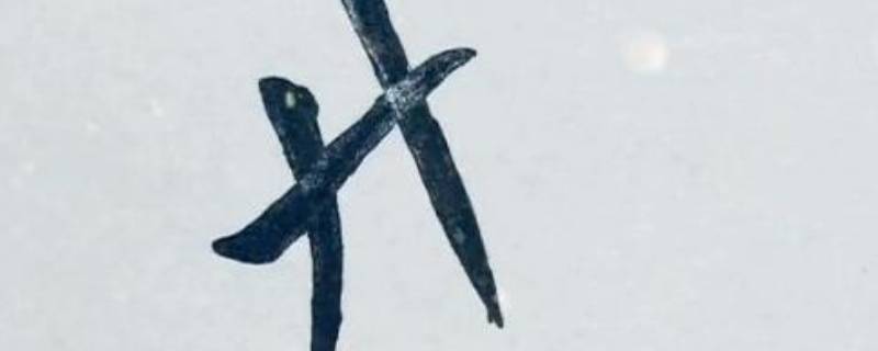 廾匸怎么读（廾匸怎么读音）
