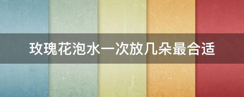 玫瑰花泡水一次放几朵最合适（玫瑰花泡水一次放几个）
