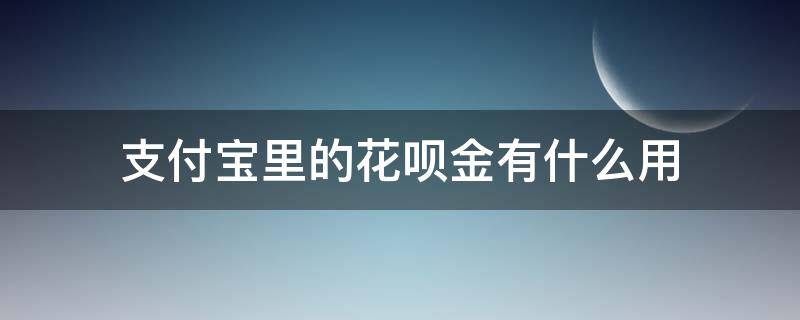 支付宝里的花呗金有什么用（支付宝里的花呗金有什么用途）