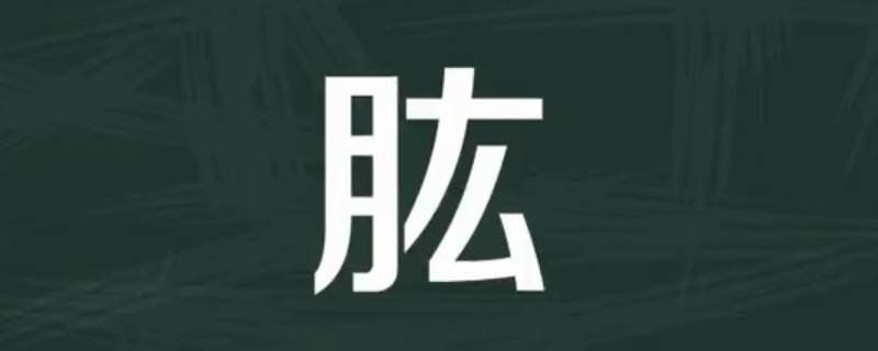 肱怎么读（肱怎么读什么意思）
