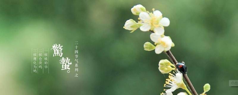 惊蛰怎么读（惊蛰怎么读音粤语）