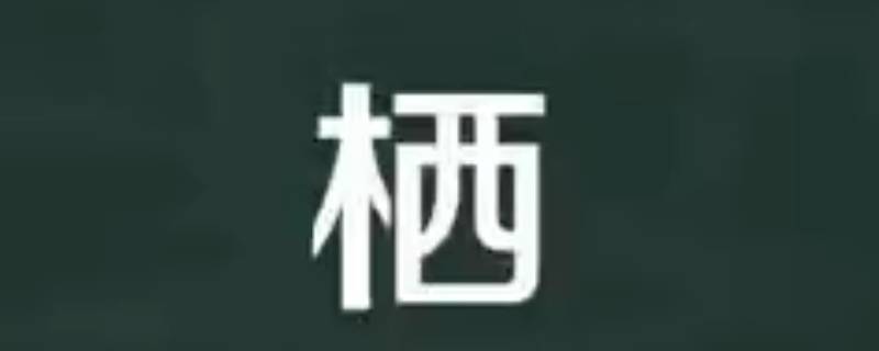 栖怎么读 栖息怎么读
