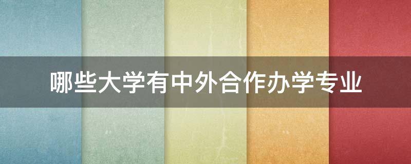 哪些大学有中外合作办学专业（哪些大学有中外合作办学专业泰国）