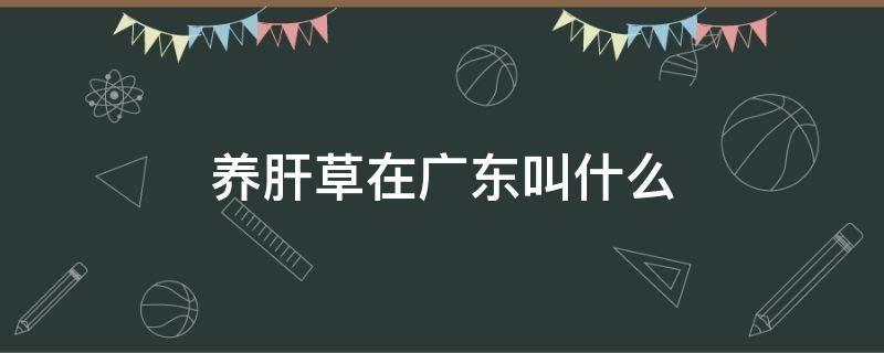 养肝草在广东叫什么（养肝草在广东叫什么名字）