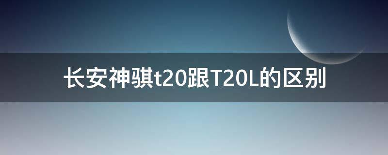 长安神骐t20跟T20L的区别（长安神骐t20属于什么性质的车）