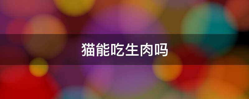 猫能吃生肉吗（家养猫能吃生肉吗）