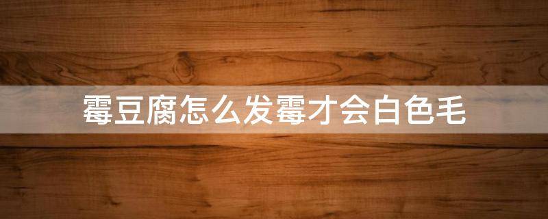 霉豆腐怎么发霉才会白色毛（霉豆腐怎么发霉才会白色毛毛）