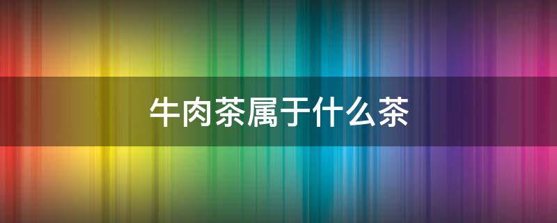 牛肉茶属于什么茶（牛肉茶属于什么茶大红袍）