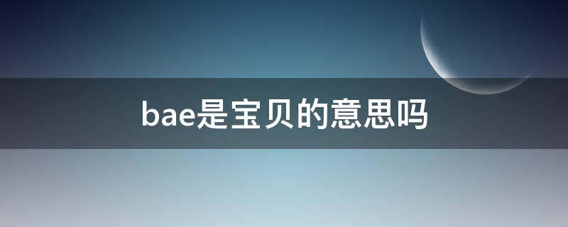 bae是宝贝的意思吗 bae 宝贝