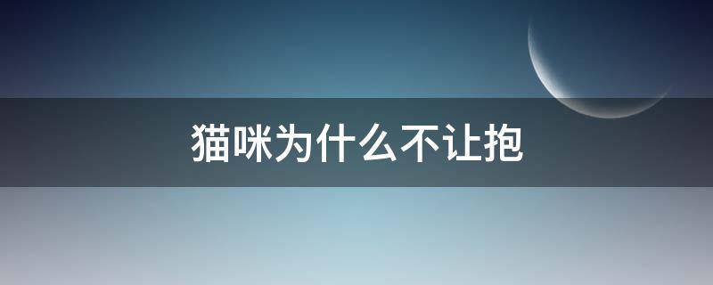 猫咪为什么不让抱 猫咪为什么不让抱着睡