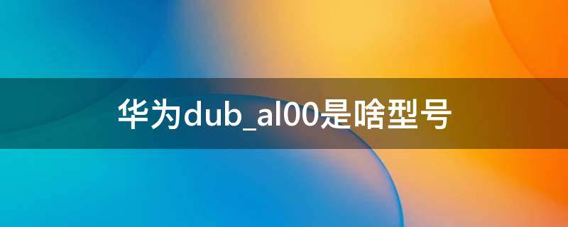 华为dubal00是啥型号（dubal00a华为什么型号）