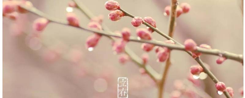 什么是双立春 什么叫双立春