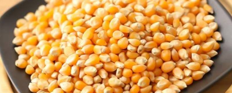新鲜玉米粒怎么剥 新鲜玉米粒怎么剥快