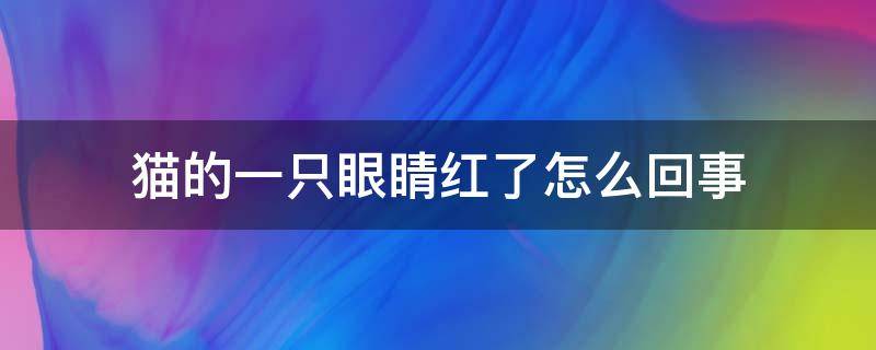 猫的一只眼睛红了怎么回事 猫的一只眼睛红了怎么回事儿
