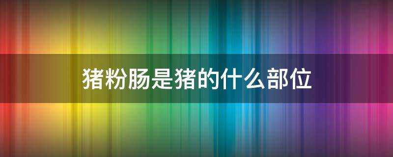 猪粉肠是猪的什么部位（猪粉肠是哪个部位）