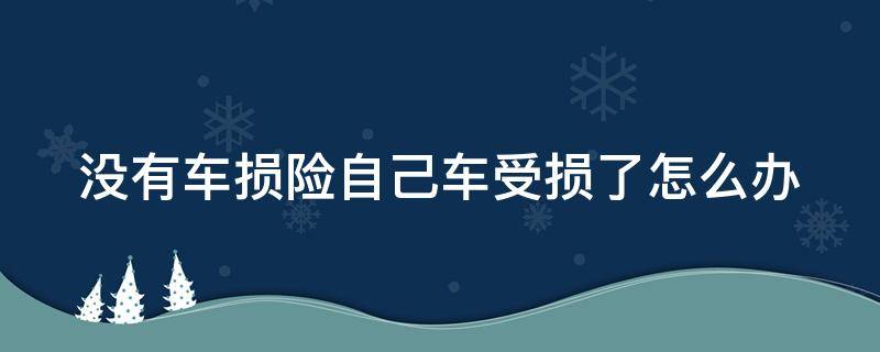 没有车损险自己车受损了怎么办（没有车损险自己车受损了怎么办车被冰雹砸了可以）