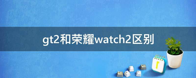 gt2和荣耀watch2区别(荣耀watch2与gt2的区别)