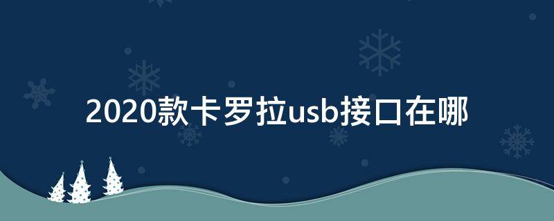 2020款卡罗拉usb接口在哪（卡罗拉usb接口在哪里）
