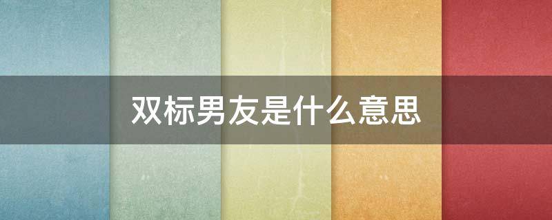 双标男友是什么意思（双标是什么意思男生）