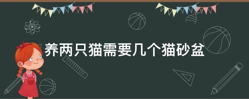养两只猫需要几个猫砂盆 养两只猫需要几个猫砂盆呢