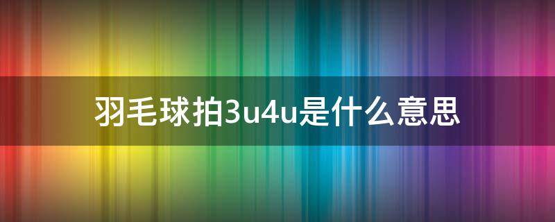 羽毛球拍3u4u是什么意思（羽毛球拍3u4u5u是什么意思）