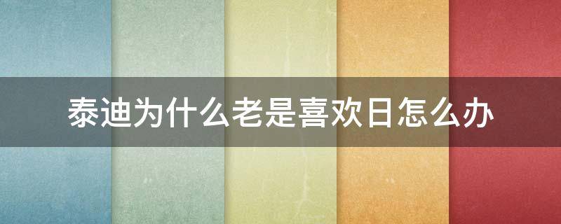 泰迪为什么老是喜欢日怎么办（泰迪为什么什么都日）