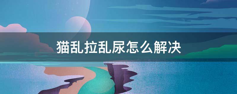 猫乱拉乱尿怎么解决 成年猫乱拉乱尿怎么解决