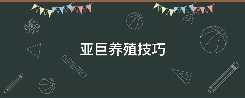 亚巨养殖技巧 亚巨幼苗怎么养