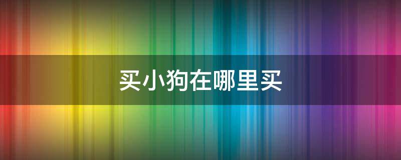 买小狗在哪里买 买小狗在哪里买最安全放心