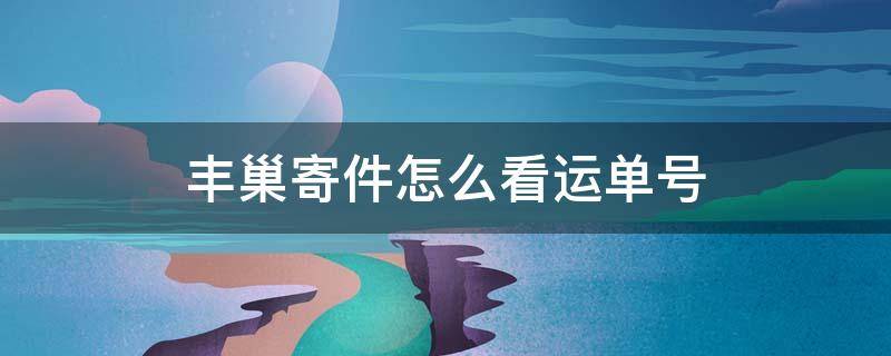 丰巢寄件怎么看运单号（丰巢快递寄件码怎么查运单号）