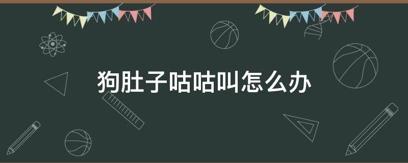 狗肚子咕咕叫怎么办 狗狗肚子咕咕叫怎么办