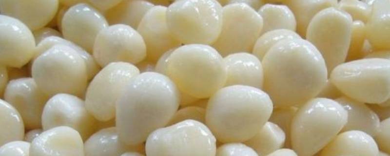 蒜米怎么长期保存（蒜米怎么长期保存不发芽）