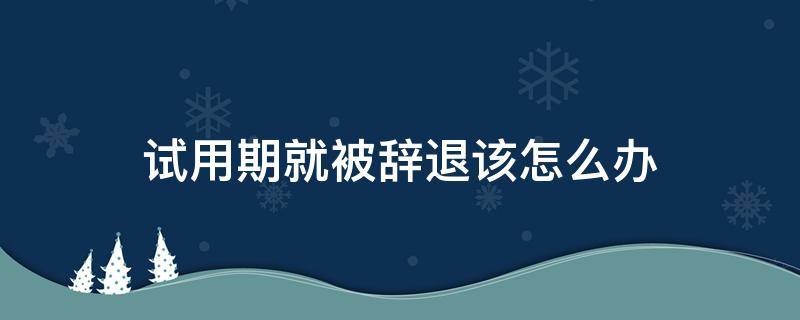 试用期就被辞退该怎么办 试用期就被辞退该怎么办呢