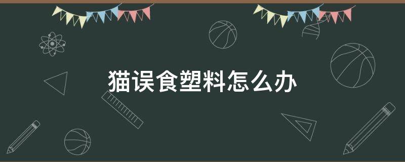 猫误食塑料怎么办（猫误食塑料袋怎么办）