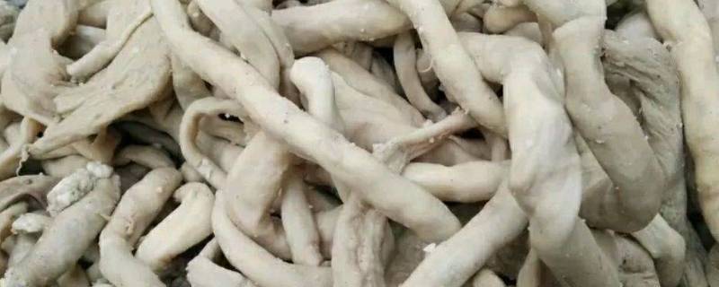 羊肠怎么翻过来洗（怎样翻洗羊肠子）