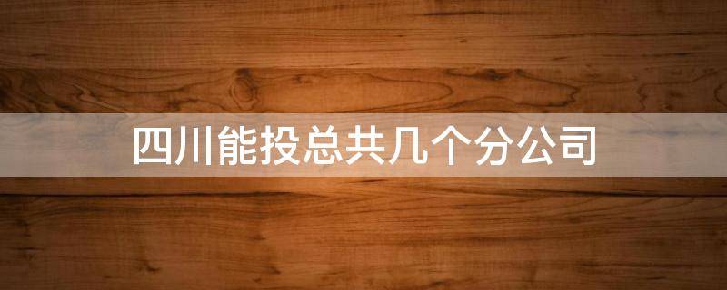 四川能投总共几个分公司(四川能投最好的分公司)