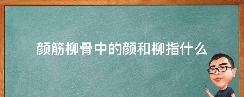 颜筋柳骨中的颜和柳指什么（颜筋柳骨中柳指的是什么）