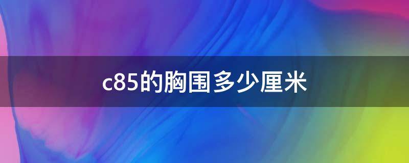 c85的胸围多少厘米 c85胸围是多大啊