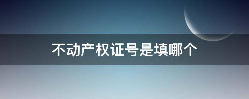 不动产权证号是填哪个 什么叫不动产权证号