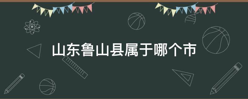 山东鲁山县属于哪个市（山东鲁山县属于哪个市哪个区）