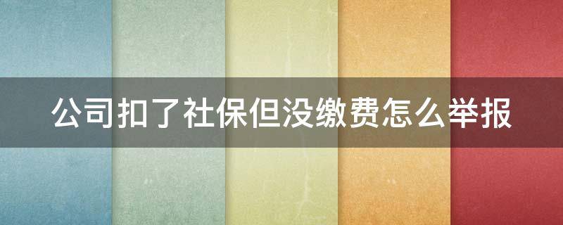 公司扣了社保但没缴费怎么举报(公司扣了社保但没缴费怎么举报他们)
