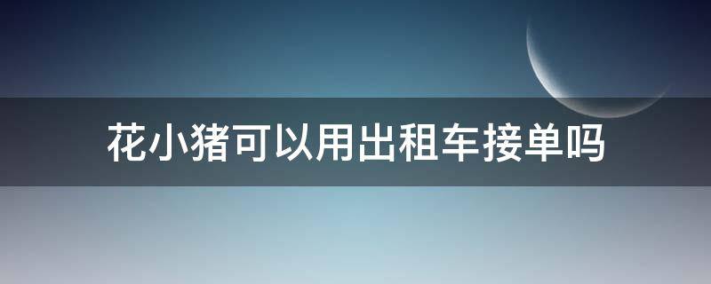 花小猪可以用出租车接单吗（用花小猪打车没人接单）