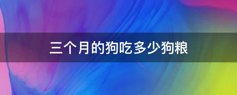 三个月的狗吃多少狗粮 三个月的狗吃多少狗粮啊