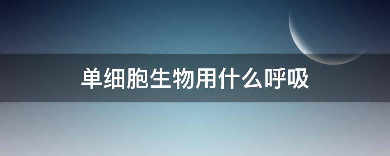 单细胞生物用什么呼吸（单细胞生物用什么呼吸的）