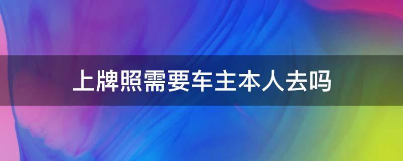 上牌照需要车主本人去吗 上牌照需要车主本人去吗现在