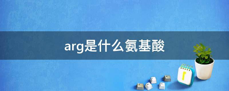 arg是什么氨基酸（arg是什么氨基酸的简称）