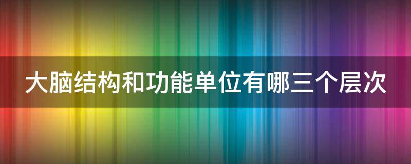 大脑结构和功能单位有哪三个层次 大脑结构和功能单位有哪三个层次图
