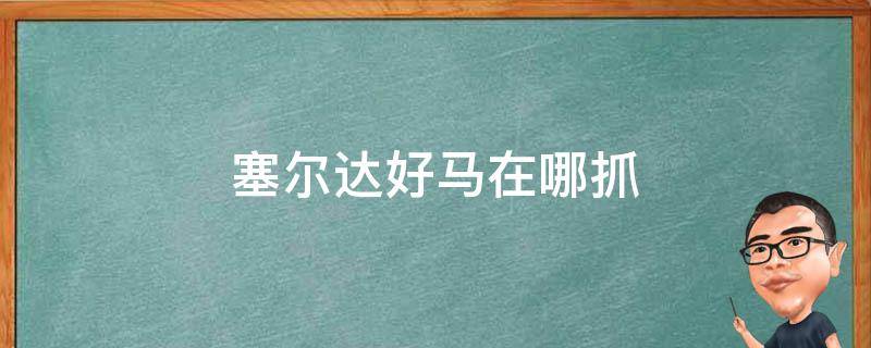 塞尔达好马在哪抓（塞尔达好马在哪抓,抓完怎么回去）
