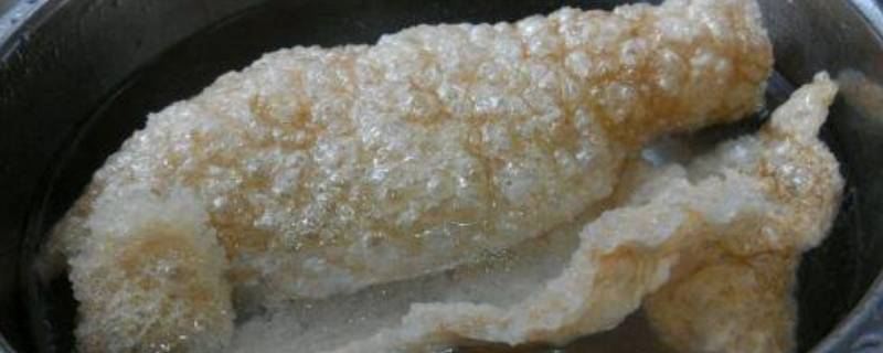 炸过的肉皮如何泡发 炸肉皮怎么发泡
